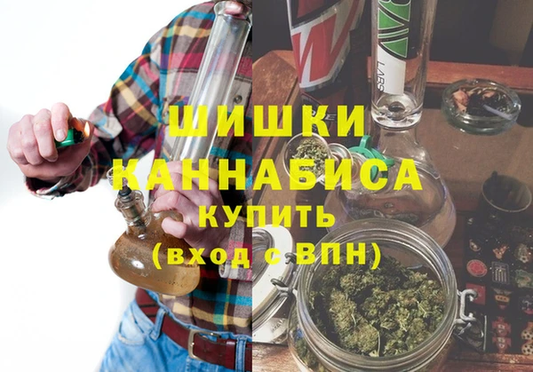 ALPHA PVP Няндома