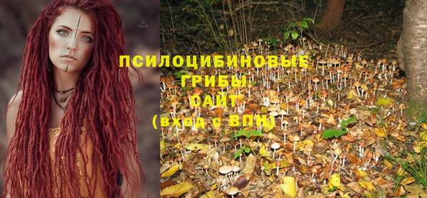 крисы Нягань