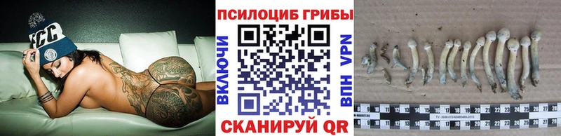 KRAKEN tor  Новоаннинский  Галлюциногенные грибы мицелий 